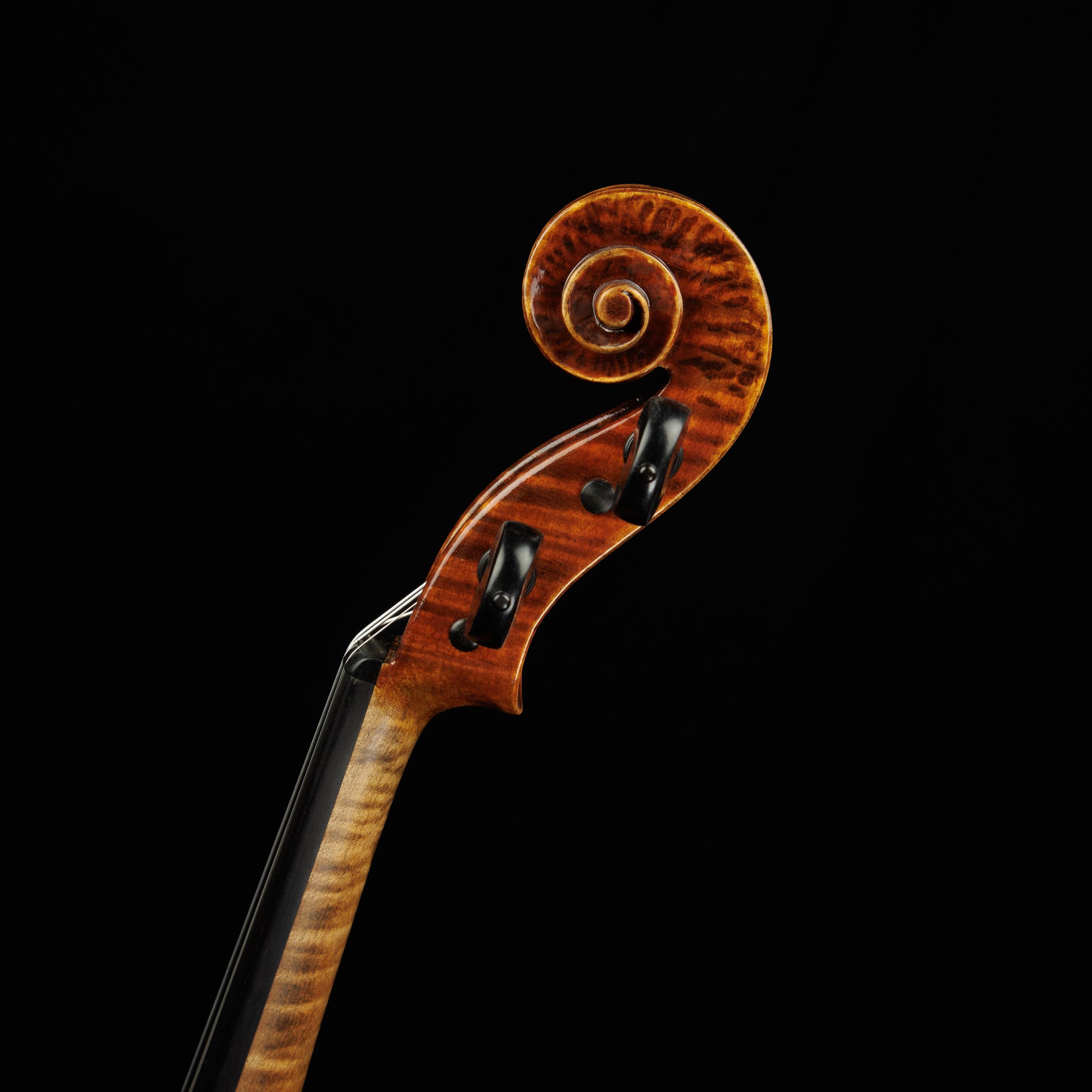 Violino detalhe